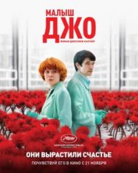 Малыш Джо (2019) смотреть онлайн